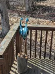 Quiet and Comfy 3 bed/2bath - Golf Chalet w/ Loft&Hot tub - Chalets