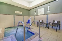 Hampton Inn & Suites Milwaukee/Franklin - Træningscentre