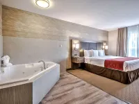 Comfort Inn & Suites South Hotels near Weaselhead Park