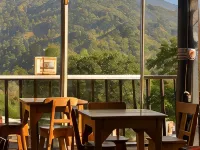 Coffee Tree Boutique Hostel Hotels in Salento