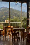 Coffee Tree Boutique Hostel