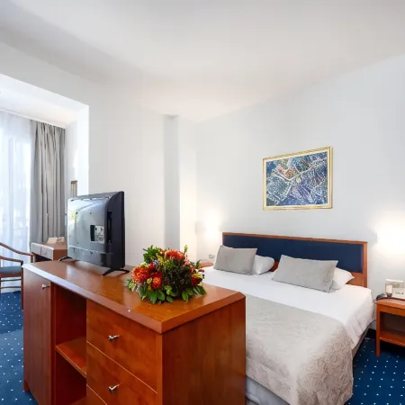 Hotel Vis