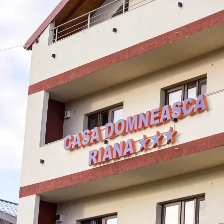Casa Domneasca Riana Отели в г. Питешти