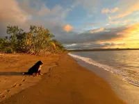 Irana Pacific Hotel Hotels in Nuqui