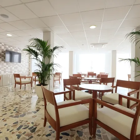 AzuLine Hotel Palmanova Garden