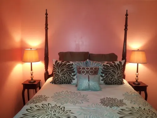 Well Appointed Home For Your Family's Enjoyment In The Heart of Charlottesville - Homestays