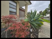 Serenity Home 9 by Hiverooms