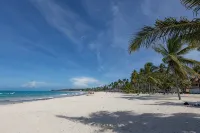 Oasis Retreat | Sleeps 4 | Free Airport Transfer