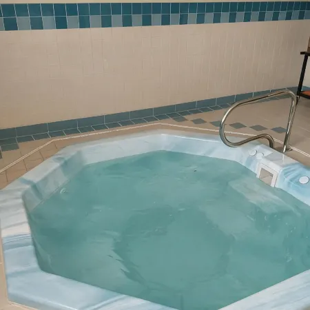 Lavissh Inn and Suites