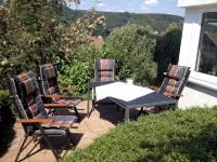 holiday apartment with view of the mountains of the Harz, pets are welcome - homestay