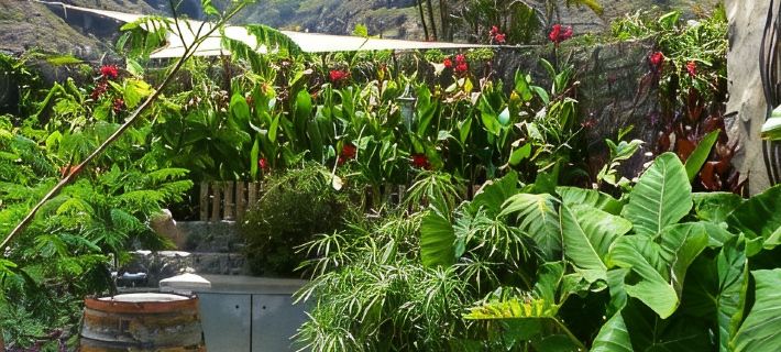Villa on the seafront with pool_Ecological farm Hotels in Icod