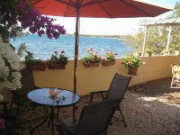 Le Cactus Guesthouse