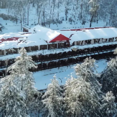 Shangrila Hotels and Resort