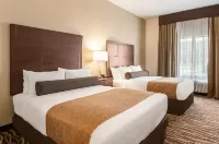 Cobblestone Hotel & Suites Appleton International Airport - Wi-Fi