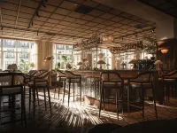 Rox Resort - bar