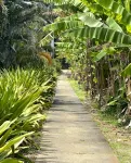 Admired Poipu beach house in a perfect location, now a vacation home! - Boutique