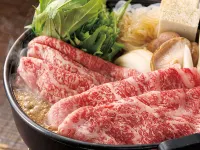 로얄 하지메