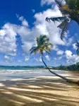 Best Spot in Puerto Rico at Rio Mar Beach  & Golf Resort 20 min. to San Juan - Villas