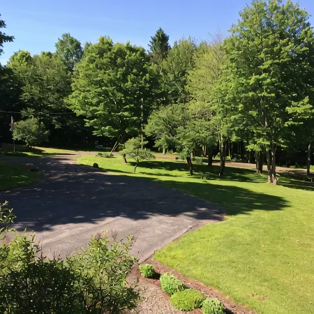 A perfect, quiet baseball rental in the woods near Cooperstown, NY