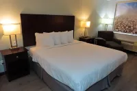 Best Western Childress West Hotel - parking