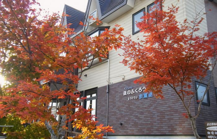 Onsen Pension Mori No Fukuro