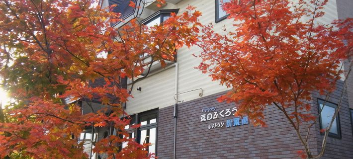 Onsen Pension Mori No Fukuro Hotels in Kato District