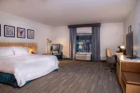 Hilton Garden Inn Sudbury - Pools
