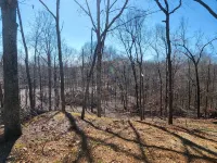 Cozy cottage w/1 bedroom, WiFi, AC in tranquil Springville close to boat ramps - 2-Star