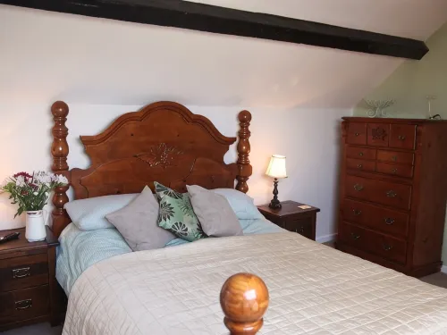 The Horseshoe Guesthouse - Boutique
