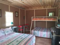 Pet friendly Camping cabin  close to Buffalo River
