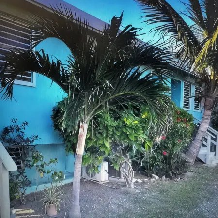 Cane Bay Area 2-bedroom gorgeous oceanfront condo @ SeaClusion  Condominiums