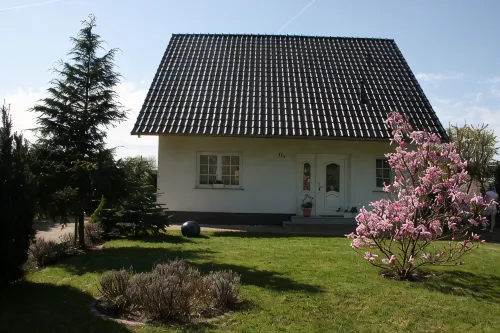 Nice house Wall - Homestays