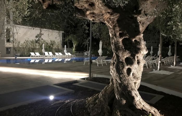 Youmami Suite Hotel Wellness&Spa