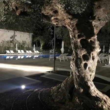 Youmami Suite Hotel Wellness&Spa