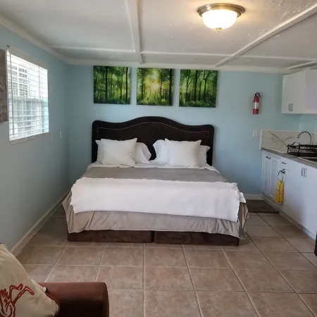 Beautiful Detached Remodeled Cottage Studio/ Downtown Palm Harbor.NON FLOOD Zone