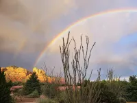 Suite Mimosa/Get Back to Nature at Secluded Couple's Retreat - Homestays
