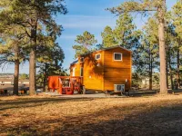 Cozy brand new tiny home! Amazing experience - 3-Star