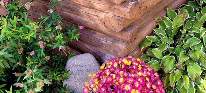 Cozy cabin on the bank of Bear Creek with a hot tub to relax in! Hotels in Пайн