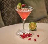 Grand Tonic Hotel & Spa Nuxe - بار