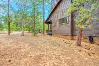 Cardinal Landing Cabin in Torreon w/AC, Furnished Deck, Grill & Firepit - ชาเลต์