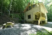 NC cabin for rent - Sanctuary at Big Pine - Alphydda