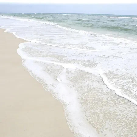 Amelia Island Ocean Front Ground Floor Condo- Construction Discount-Ends 10/1
