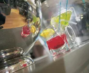 Hotel Kilkenny - bar