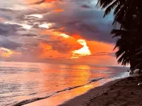 Vaima Beach Retreat- Modern Air Conditioned Apartment /Condo Steps to the Beach! - 비치