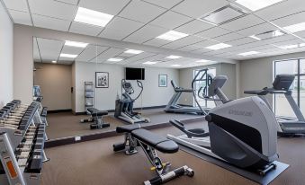 Holiday Inn Express & Suites Ankeny-Des Moines