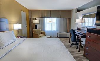 Holiday Inn ST. Petersburg N- Clearwater