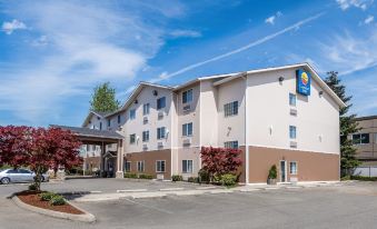 Comfort Inn Auburn - Seattle