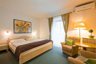 Hotel Maxant Hotel a Lipno nad Vltavou
