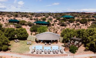 Buffelsdrift Game Lodge