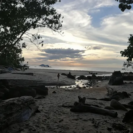 Permai Rainforest Resort